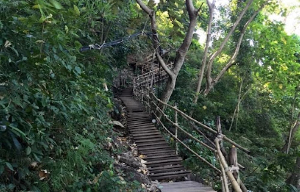 Melina's monkey house and whale bar Attraction Pictures