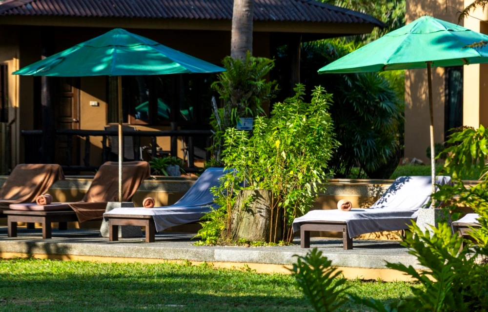 Melina's monkey house and whale bar Blog Pictures