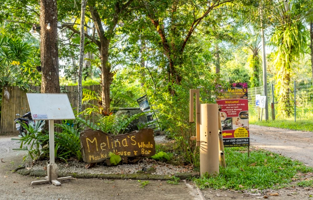 Melina's monkey house and whale bar Blog Pictures