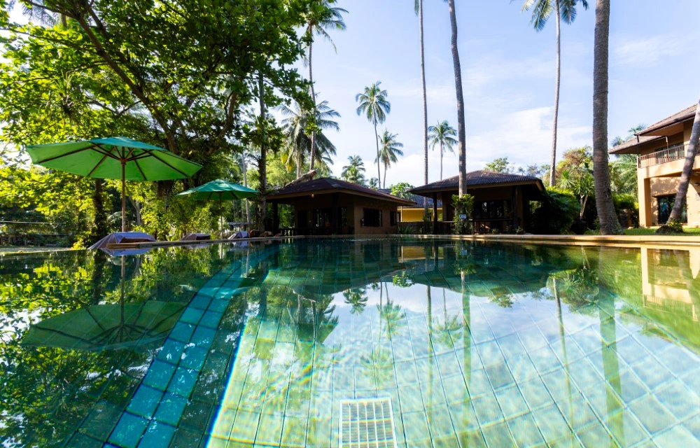 Melina's monkey house and whale bar Slider Pictures