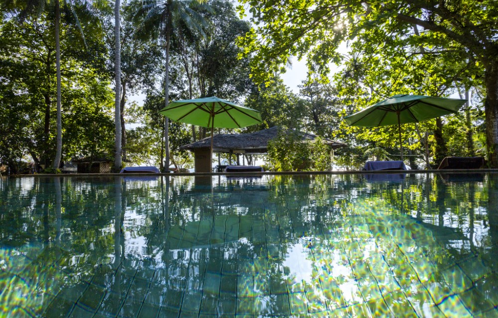 Melina's monkey house and whale bar Blog Pictures