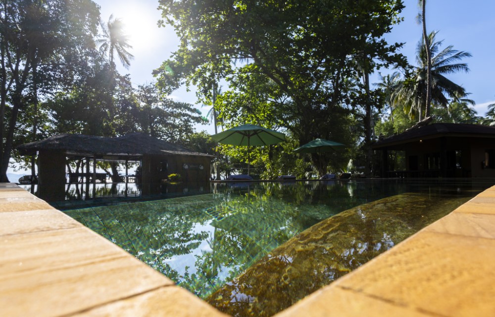 Melina's monkey house and whale bar Blog Pictures