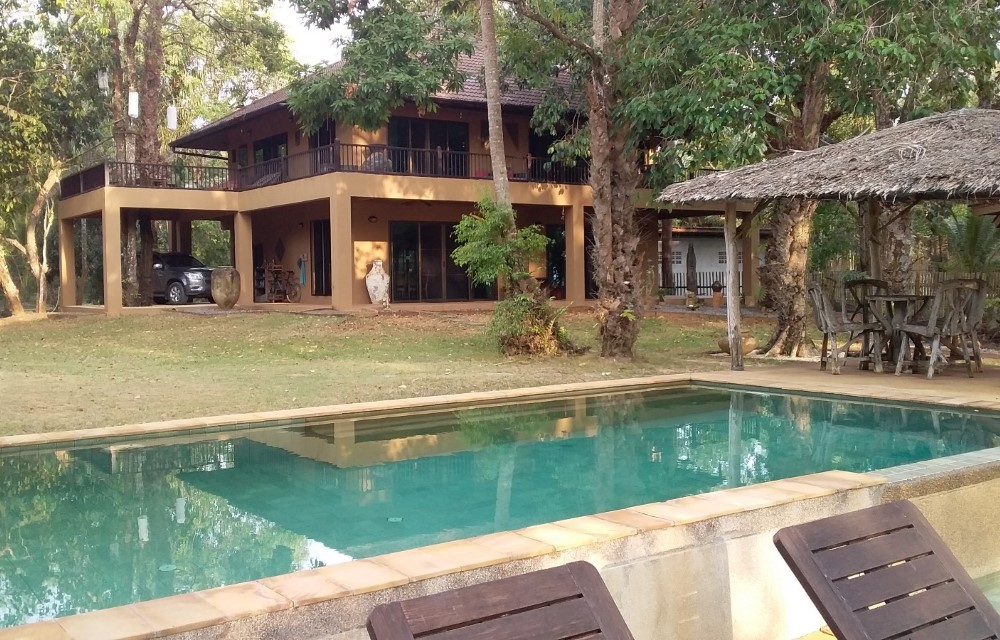 Melina's monkey house and whale bar Blog Pictures